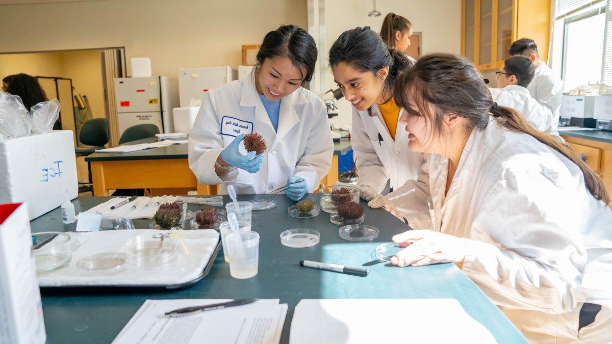 生物技术实验室的学生.